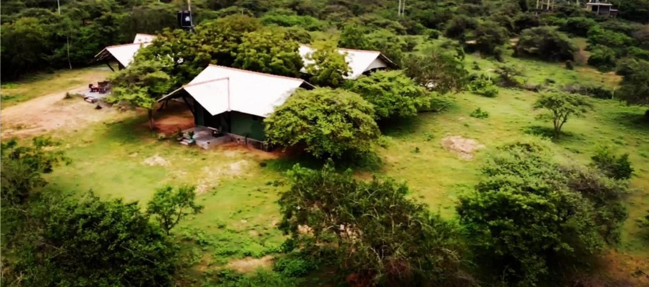 Yala Yin Yang Hostel Palatupana Exterior photo